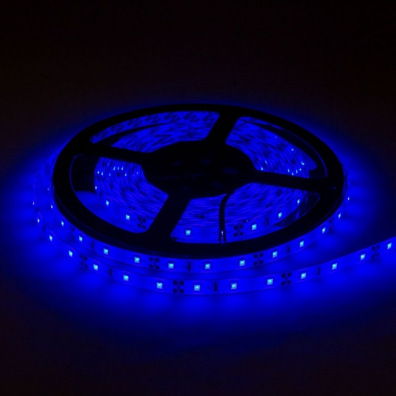 60SMD/m 4,8W/m 12V LED Streifen 3528 Blau Spritzwassergeschützt 5m
