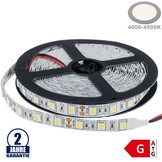 60SMD/m 14,4W/m 12V LED Streifen 5050 Neutralweiß 5m