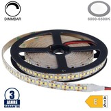 198SMD/m 20W/m 12V Professional LED Streifen 2835 Kaltweiß 5m