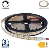 198SMD/m 20W/m 12V Professional LED Streifen 2835 Neutralweiß 5m