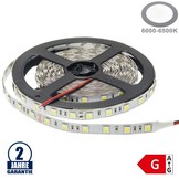 60SMD/m 14,4W/m 24V LED Streifen 5050 Kaltweiß 5m