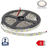 60SMD/m 14,4W/m 24V LED Streifen 5050 Neutralweiß 5m