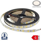 60SMD/m 16W/m 24V Professional LED Streifen 5054 Neutralweiß 5m