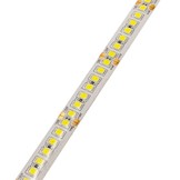 196SMD/m 20W/m 24V Professional LED Streifen 2835 Kaltweiß 5m Spritzwassergeschützt