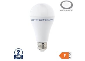 17W LED E27 A65 Birne Kunststoff Kaltweiß