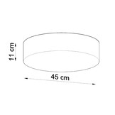 Deckenleuchte ARENA 45 schwarzg