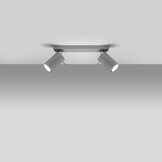 Deckenleuchte RING 2 graug