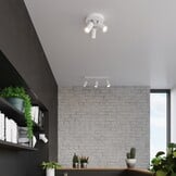 Deckenleuchte RING 3P weißg