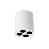 Deckenleuchted ZOE weiß LEDg