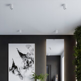 Deckenleuchted ZOE weiß LEDg