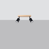 Deckenleuchte VERDO 2 schwarzg