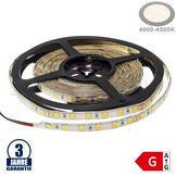 60SMD/m 16W/m 24V Professional Led Streifen 5054 Neutralweiß 5m Spritzwassergeschützt