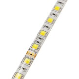 60SMD/m 12W/m 24V Professional Led Streifen 5025 Dual-LED Warm-Kaltweiß 5m Spritzwassergeschützt