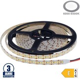 198SMD/m 20W/m 12V Professional LED Streifen 2835 Kaltweiß 5m Spritzwassergeschützt