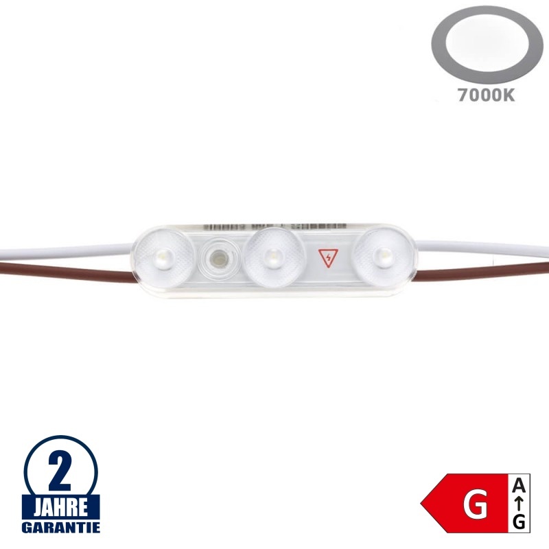 LED 230V SMD 3 Modul 1,2W IP67 Kaltweiß SET 50Stk