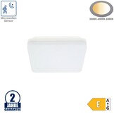 18W LED Aufbau Leuchte Quadratisch mit Bewegungsmelder CCT IP54