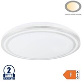 36W LED Deckenleuchte Silber CCT