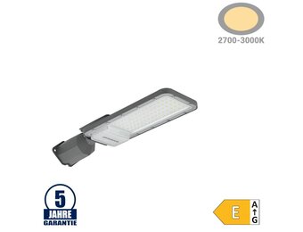 50W LED Straßenleuchte Professional HL Warmweiß IP65