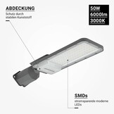 50W LED Straßenleuchte Professional HL Warmweiß IP65