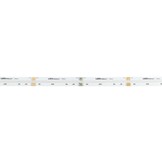 896 SMD/m 16W/m 24V Professional LED Streifen RGBW COB 5m