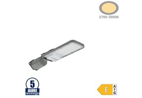 30W LED Straßenleuchte Professional HL Warmweiß IP65