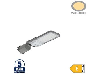 30W LED Straßenleuchte Professional HL Warmweiß IP65