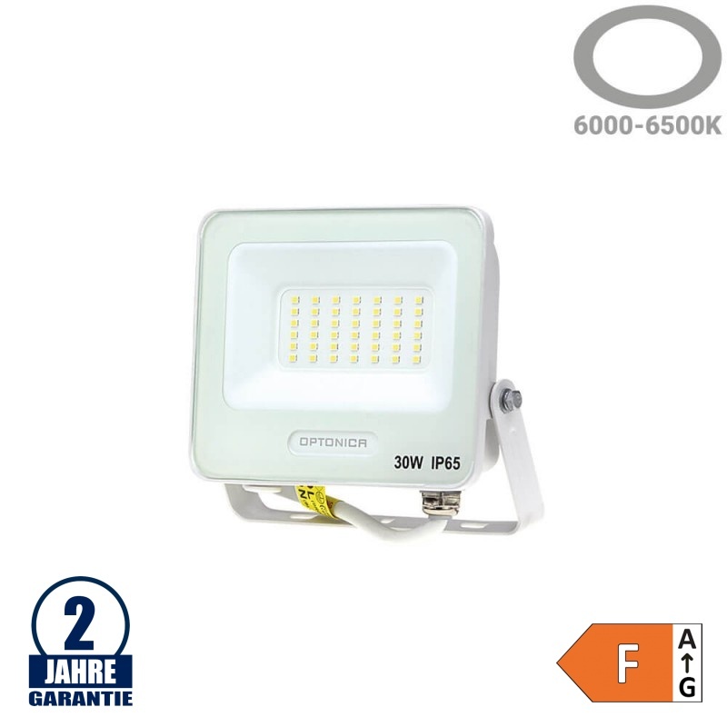 30W LED SMD Fluter