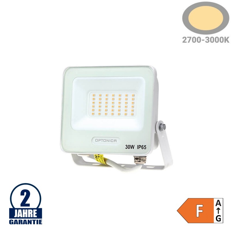 30W LED SMD Fluter