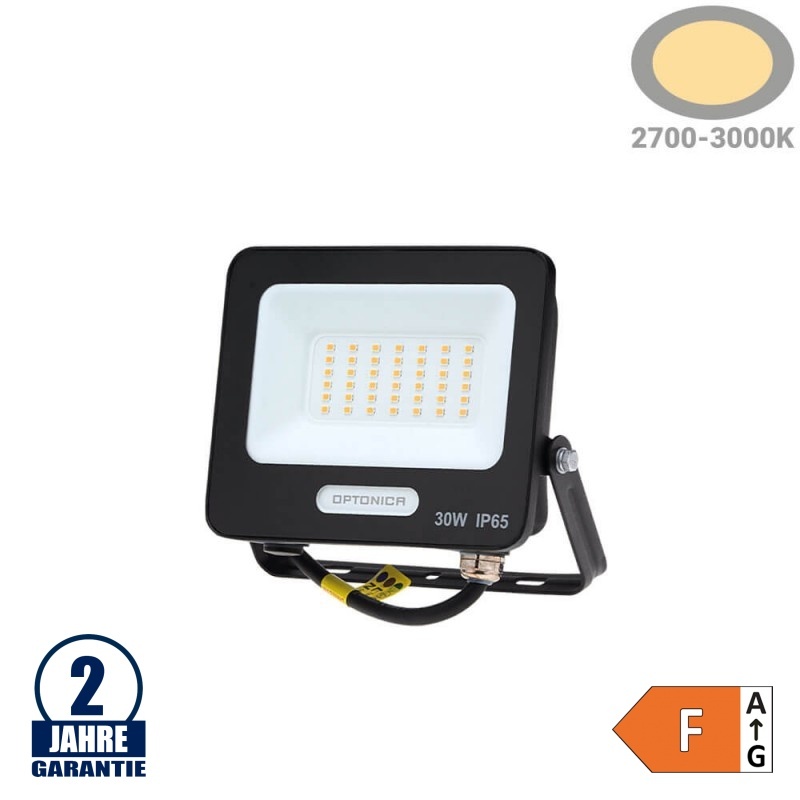 30W LED SMD Fluter