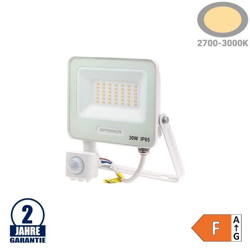 30W LED SMD Fluter mit Bewegungsmelder