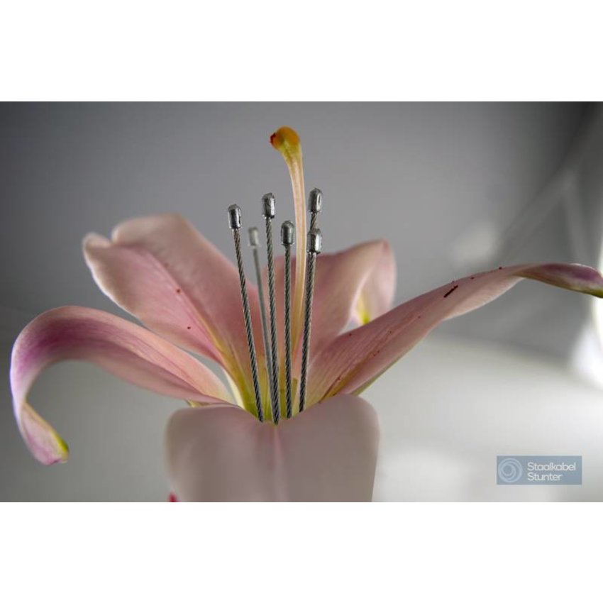 1 meter Drahtseil mit 2 Stopphülsenpen