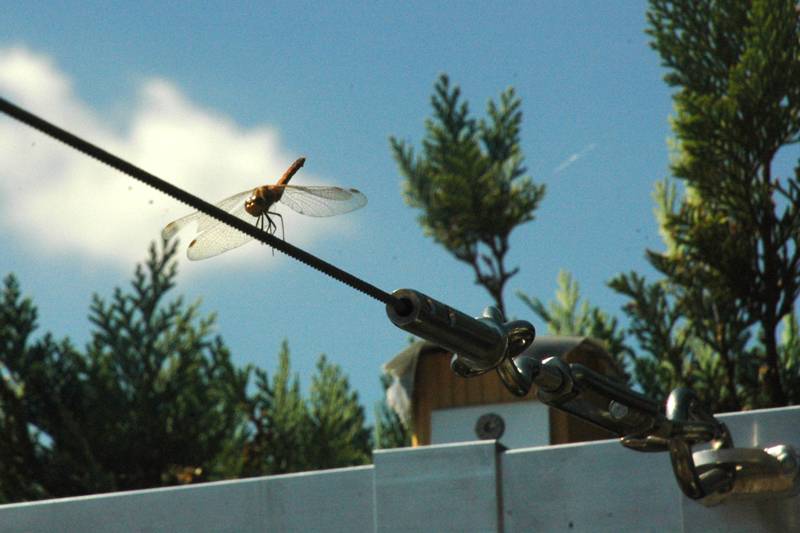 De eerste gebruiker kwam zo uit de lucht vallen