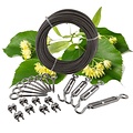 lime trees stainless Package