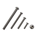 stainless  sphericalhead screw with innerhex