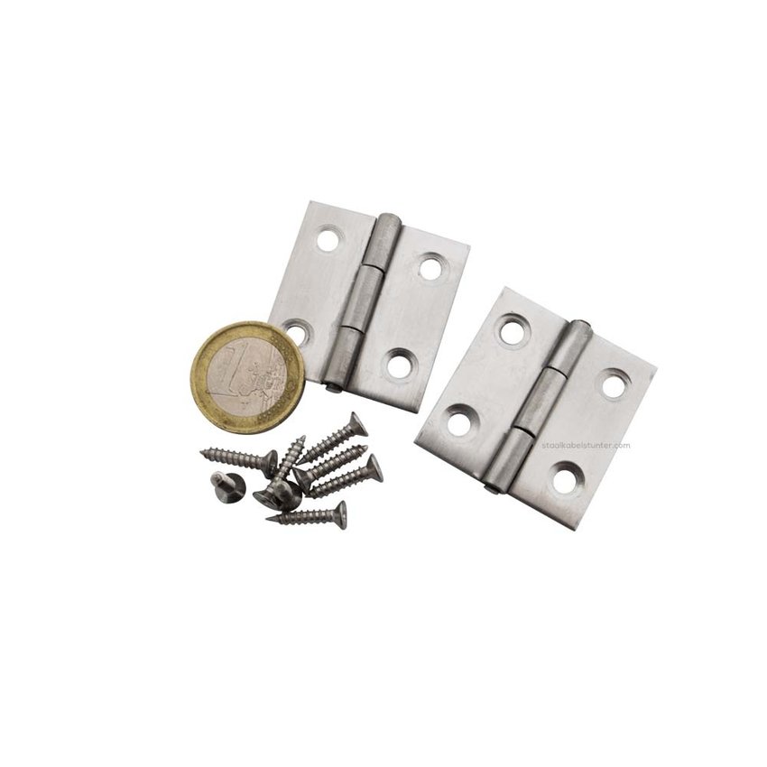 stainless hinges 38x36mm  2 pieces