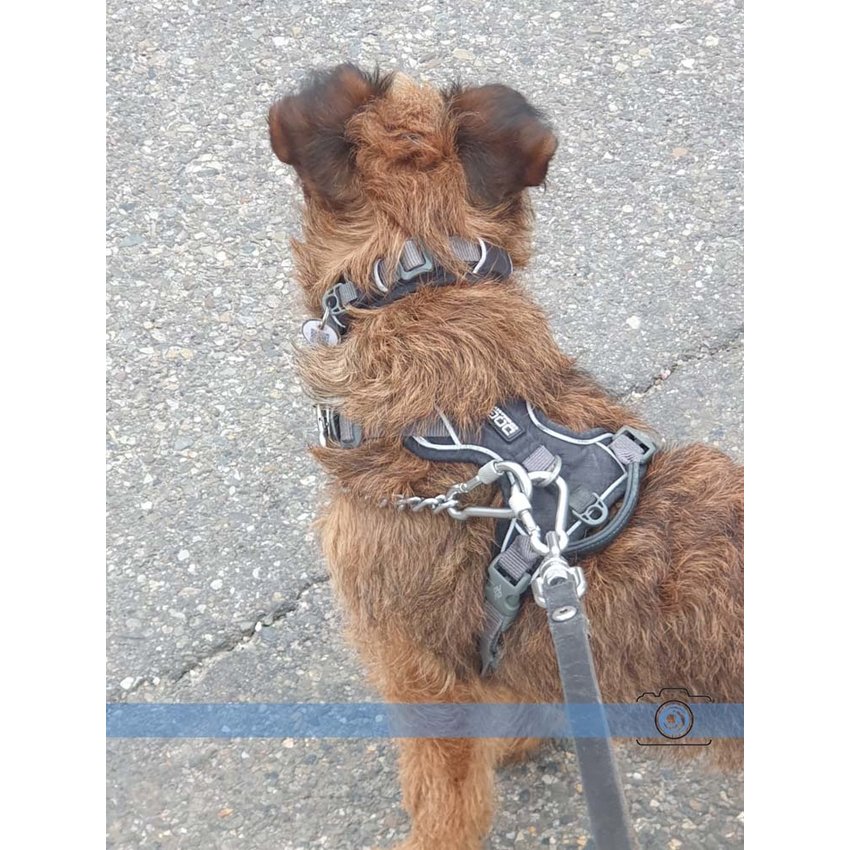 Snap Hook Stainless with screw 6x60mm