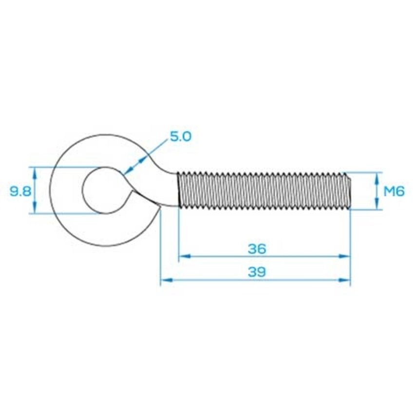 Schroefogen m6x40x10 Rvs