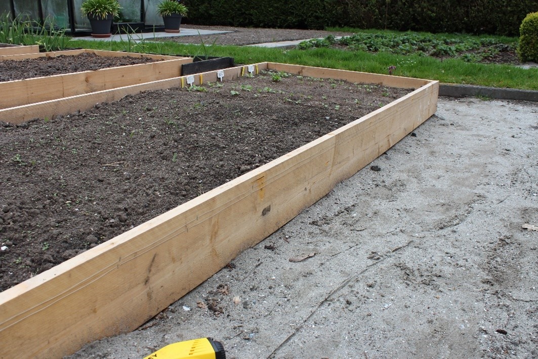 Zo houd je slakken uit je tuin