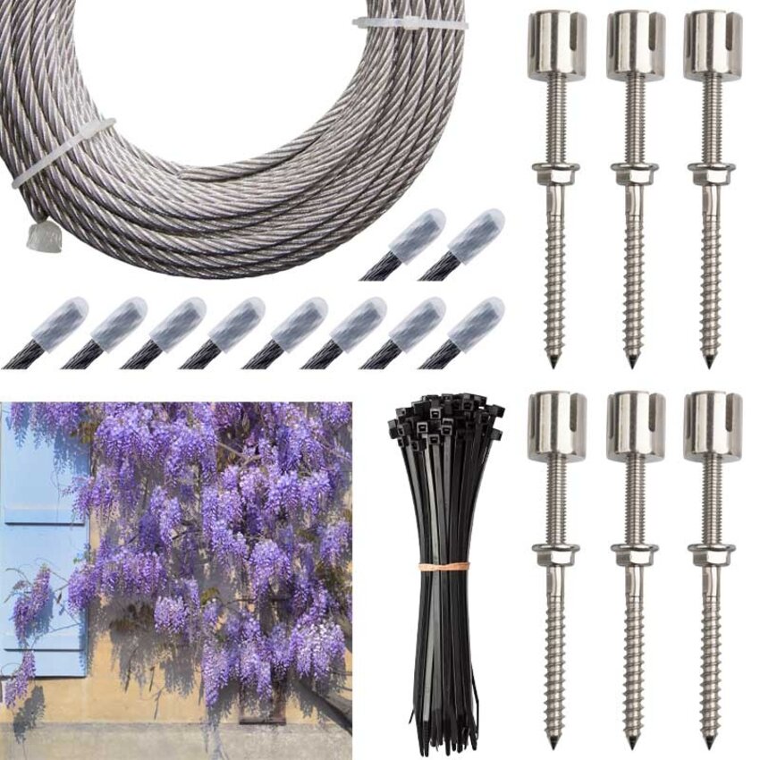 Blauregen Wisteria Leitungspaket Kletterhilfe Kreuzschraube Edelstahl Spalier 4mm Paket