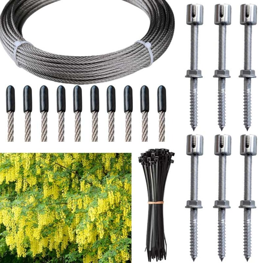 Laburnum  leiten Kletterhilfe Kreuzschraube Edelstahl Spalier 3mm Paket