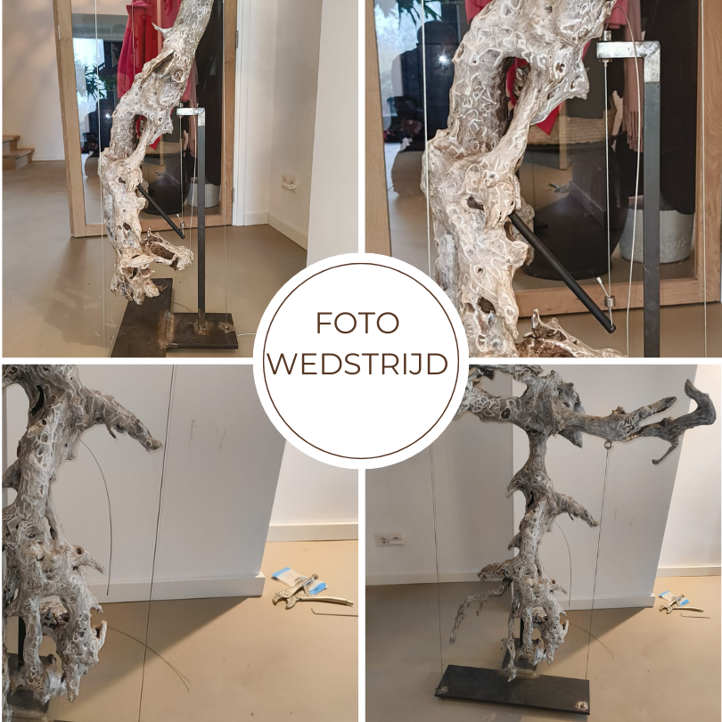 Balancerend kunstwerk op staalkabels - inspirerend