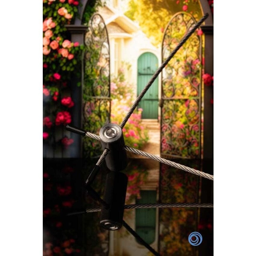 Stainless steel trellis kit for guiding plants and shrubs along wall or fence