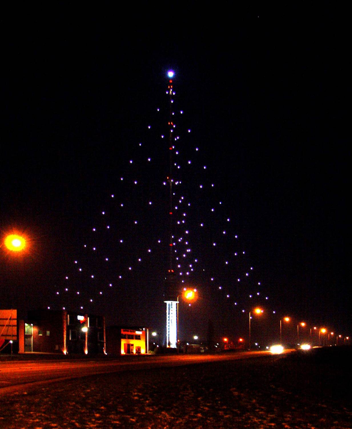 Grootste Kerstboom opgetuigd