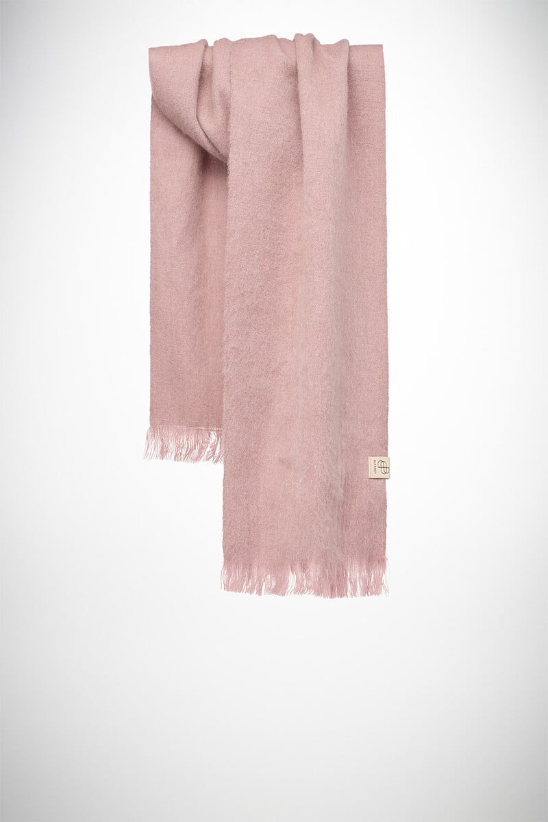 Lilac Rose Petit