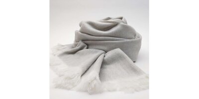 SOLID - White Canvas