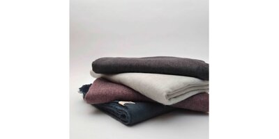 SOLID - Purple Cloud