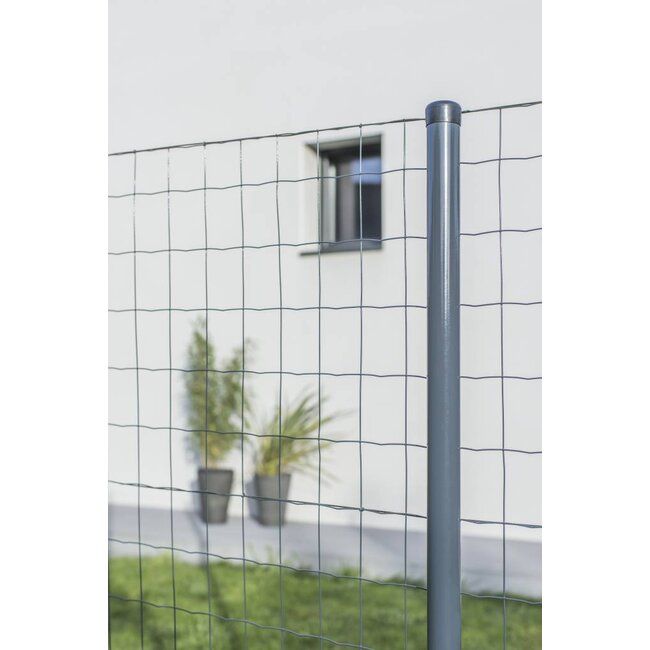 Tuingaas Axial Standaard | Diverse hoogtes en lengtes | Geplastificeerd