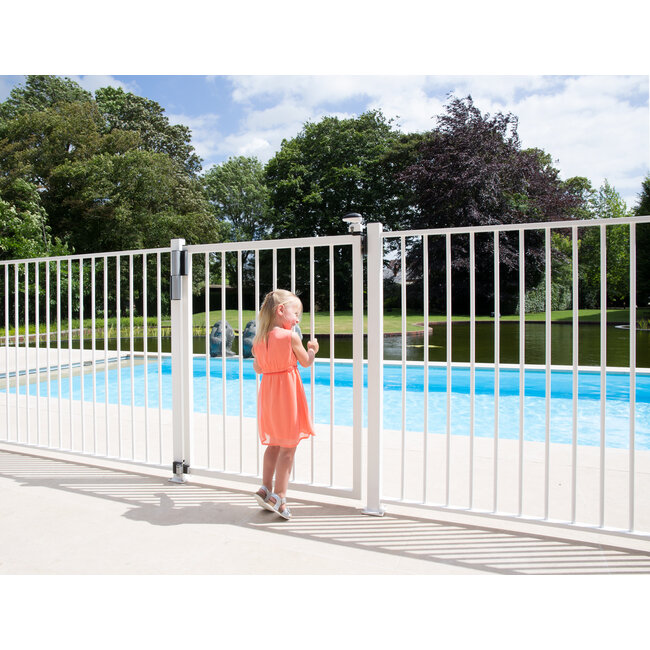 Compact scharnier en poortsluiter | Tiger