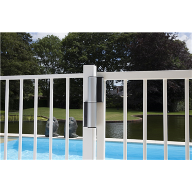 Compact scharnier en poortsluiter | Tiger