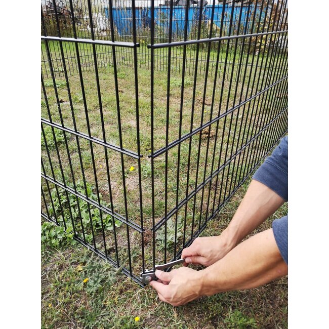 Bladkorf Standaard - Laag